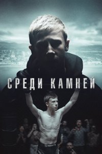 Постер к Среди камней (2019)