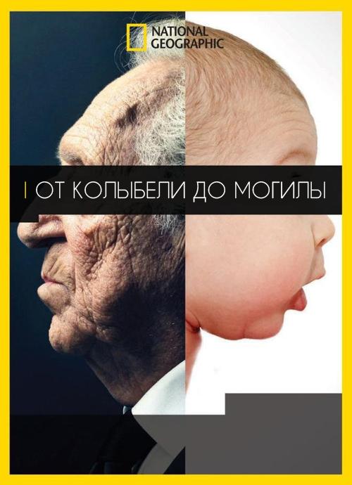 Постер к От колыбели до могилы (2017)