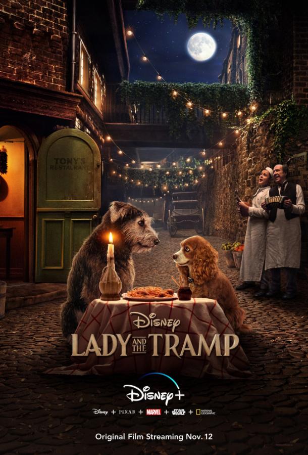 Постер к Леди и Бродяга (2019)
