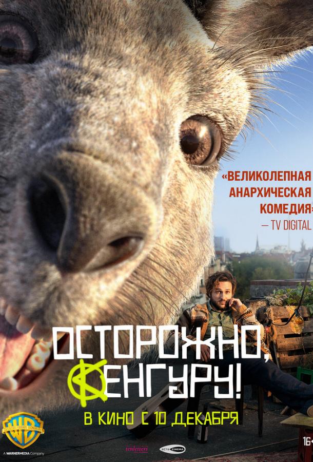 Постер к Осторожно, Кенгуру! (2020)