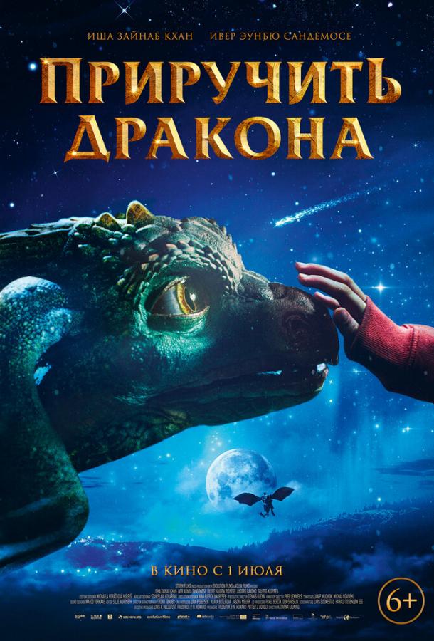 Постер к Приручить дракона (2020)