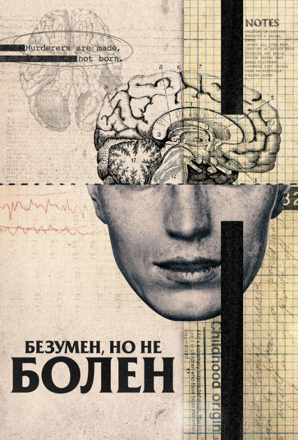 Постер к Безумен, но не болен (2020)
