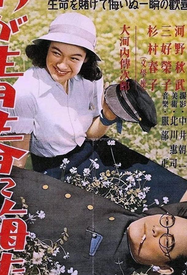 Постер к Не сожалею о своей юности (1946)