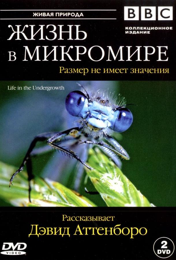 Постер к BBC: Жизнь в микромире (1 сезон)