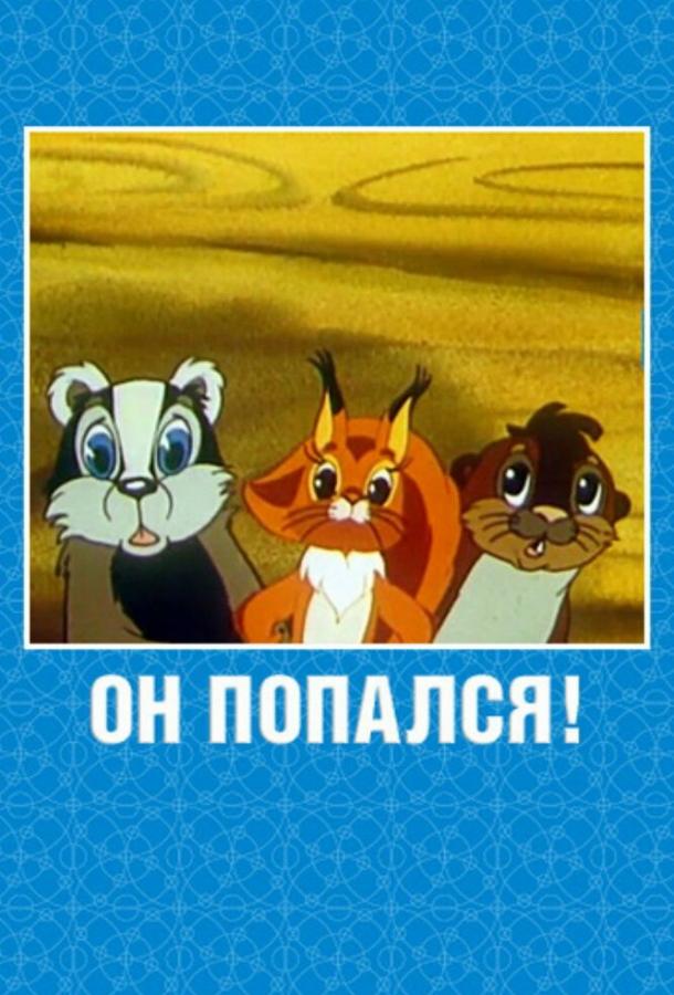 Постер к Он попался! (1981)
