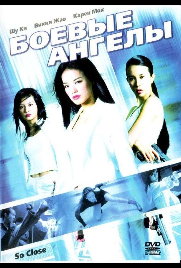Постер к Боевые ангелы (2002)