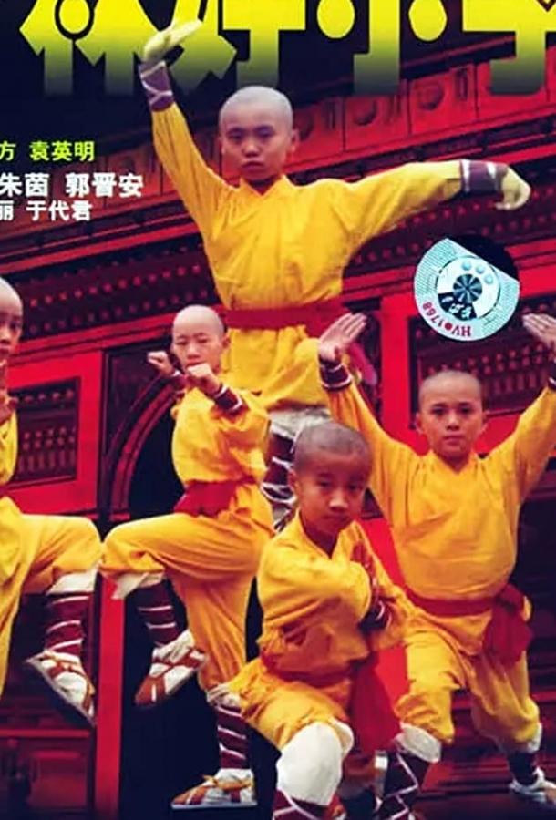 Постер к Xiao lin lao zu (1995)