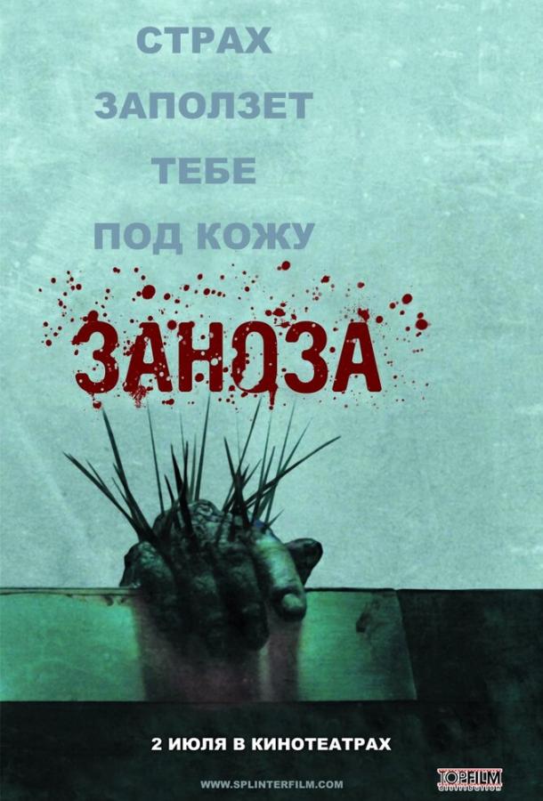 Постер к Заноза (2008)