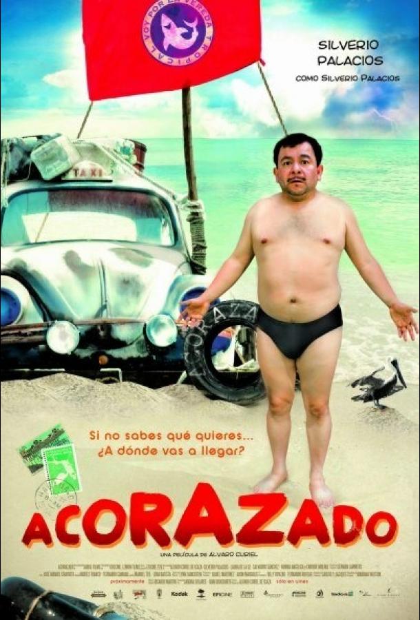 Постер к Броненосец (2010)