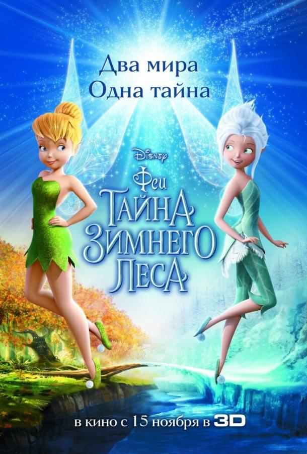 Постер к Феи: Тайна зимнего леса (2012)
