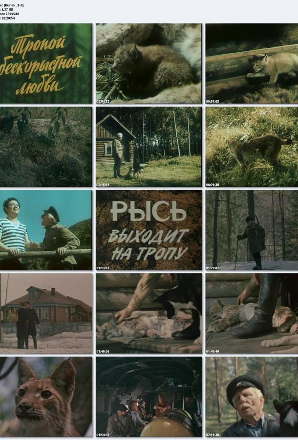 Постер к Тропой бескорыстной любви (1971)