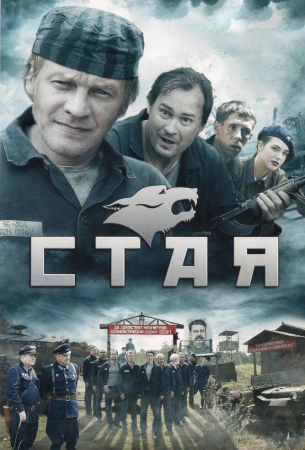 Постер к Стая (1 сезон)