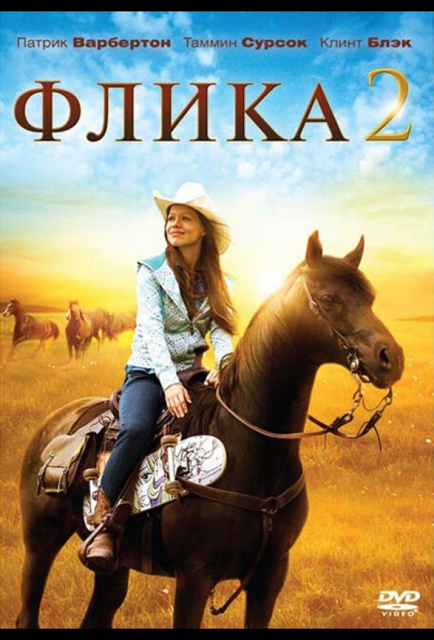Постер к Флика 2 (2010)