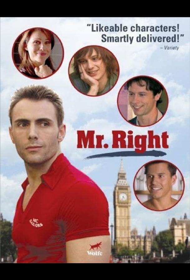 Постер к Мистер идеал (2009)