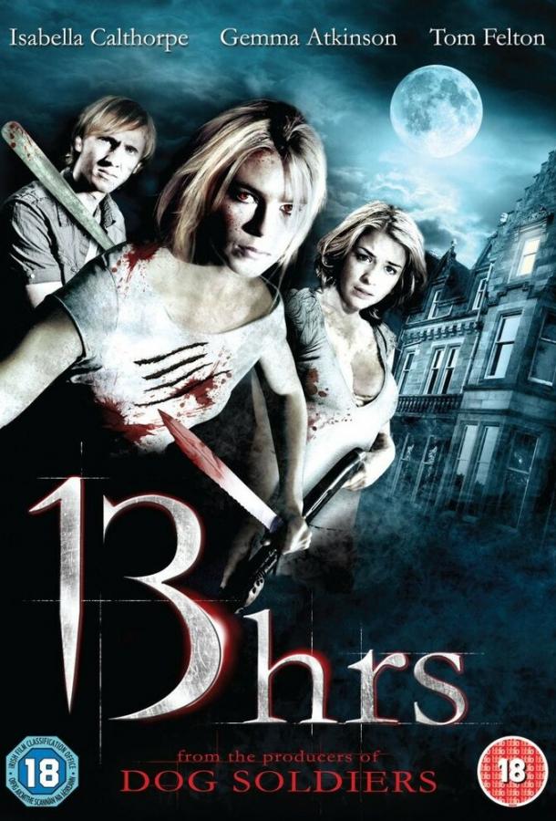 Постер к 13 часов (2010)