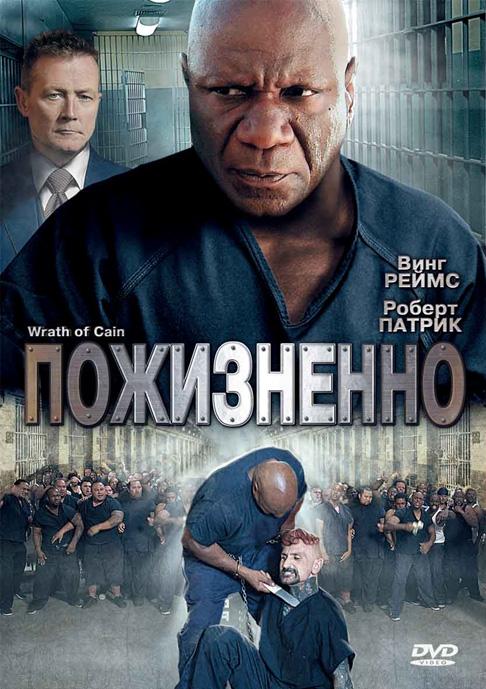 Постер к Пожизненно (2010)