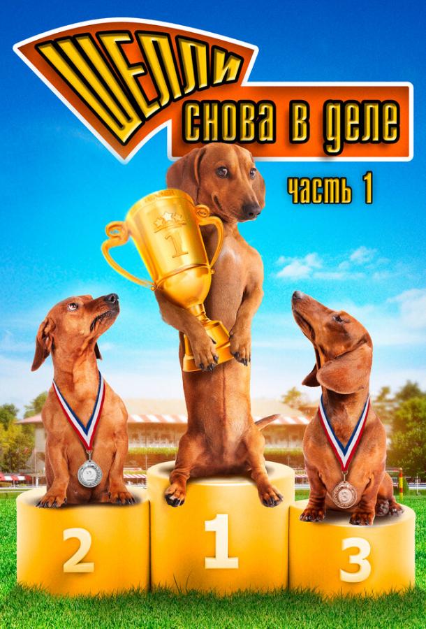 Постер к Шелли снова в деле: Часть 1 (2013)