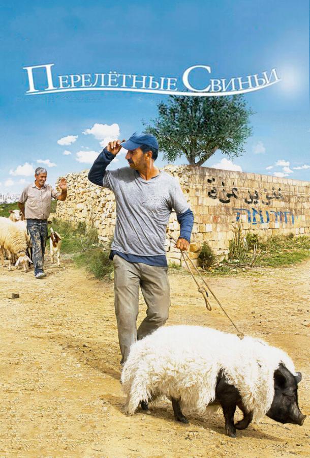 Постер к Перелетные свиньи (2011)