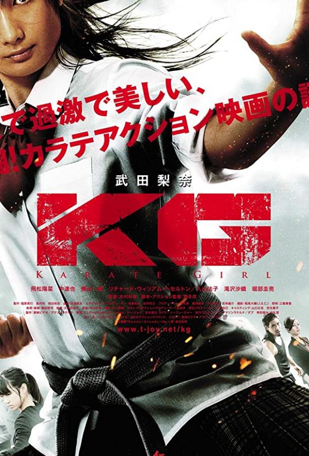 Постер к Каратистка (2011)