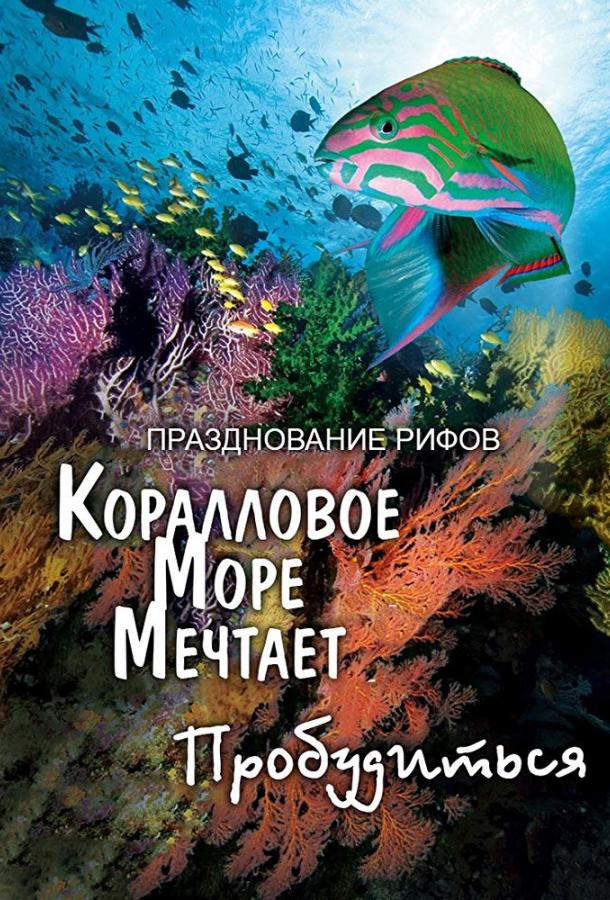 Постер к Грёзы Кораллового моря: Пробуждение (2009)