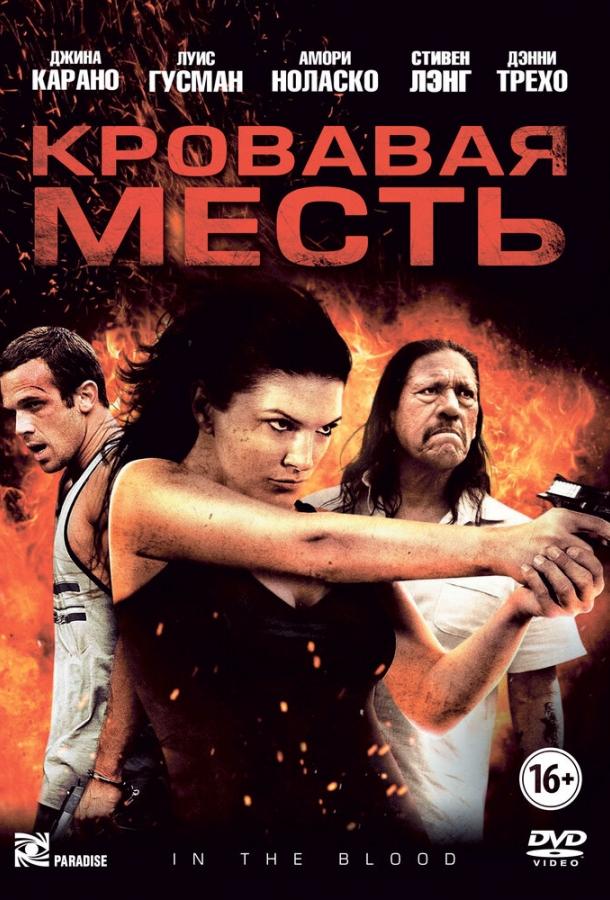 Постер к Кровавая месть (2013)