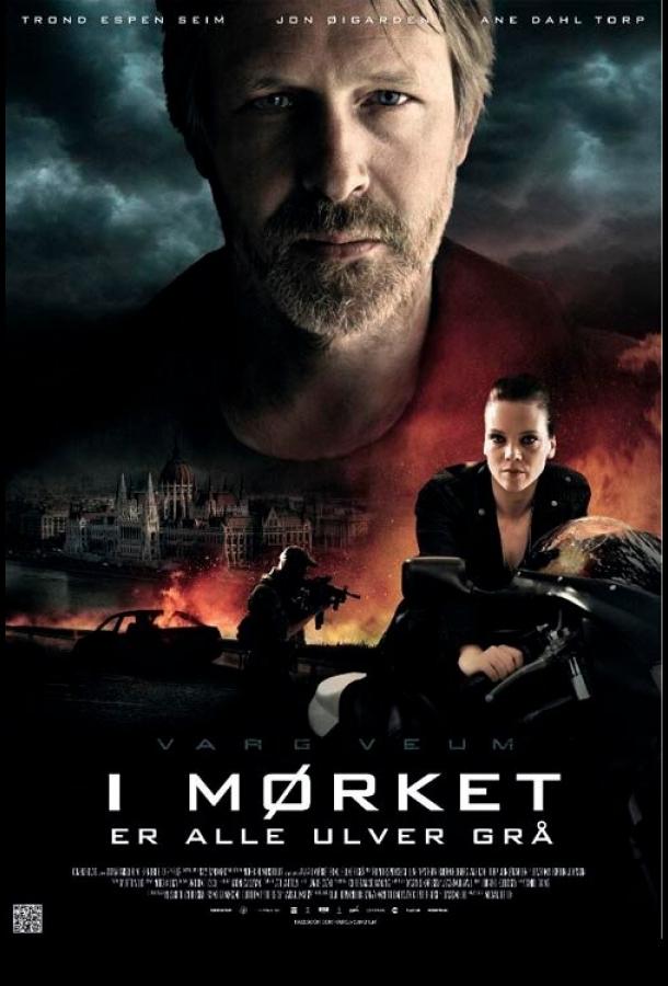 Постер к Варг Веум: Ночью все волки серы (2011)