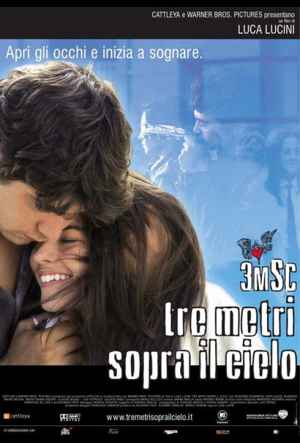 Постер к Три метра над небом (2004)