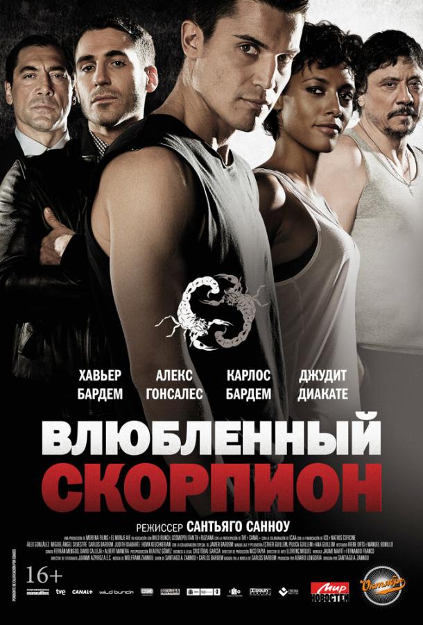 Постер к Влюбленный скорпион (2013)