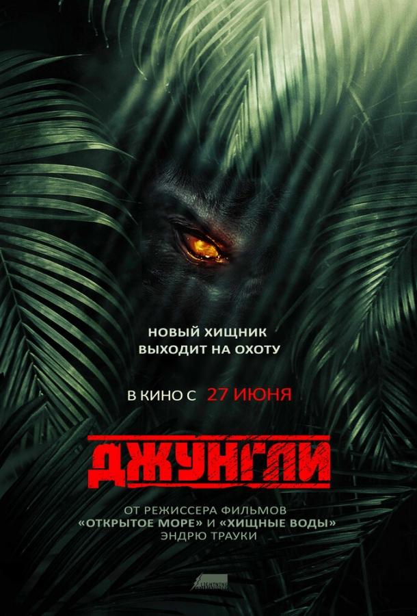 Постер к Джунгли (2013)