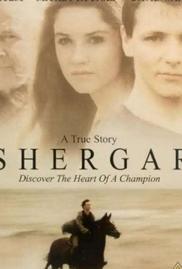 Постер к Похищение чемпиона (1999)