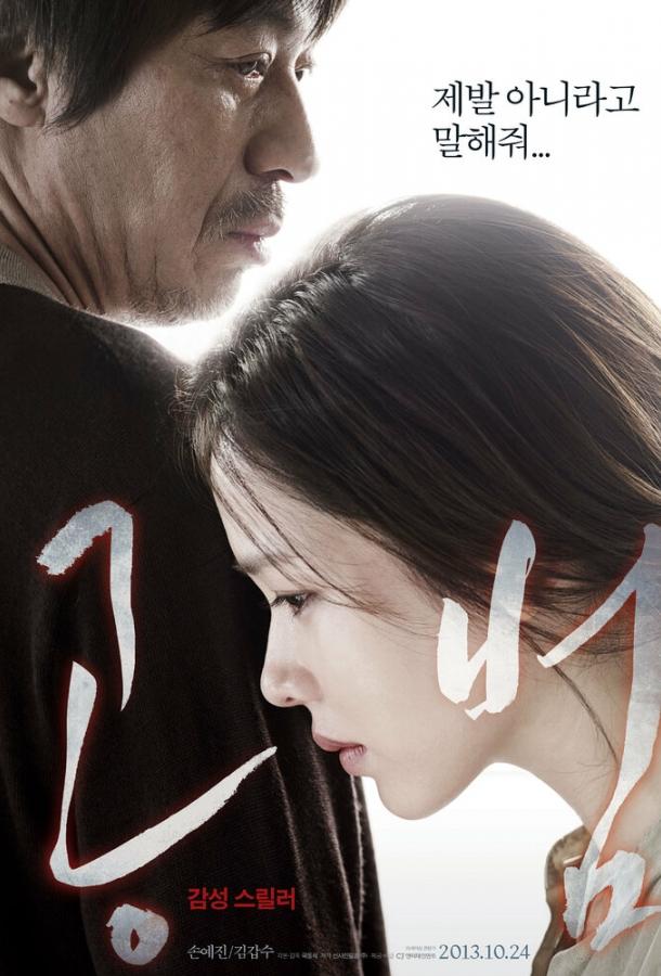 Постер к Сообщник (2013)