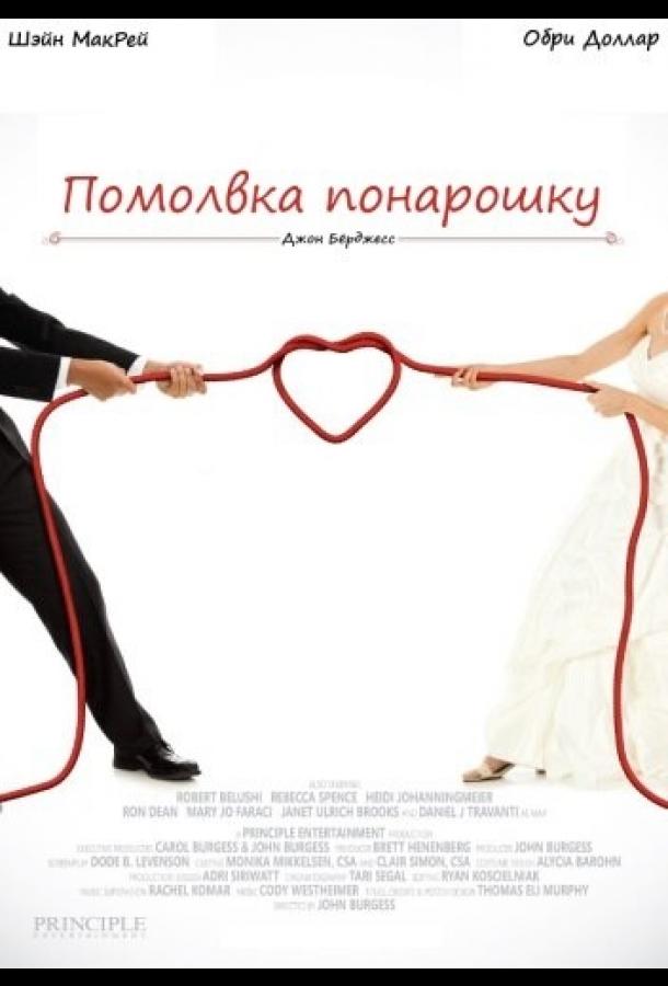 Постер к Помолвка понарошку (2013)