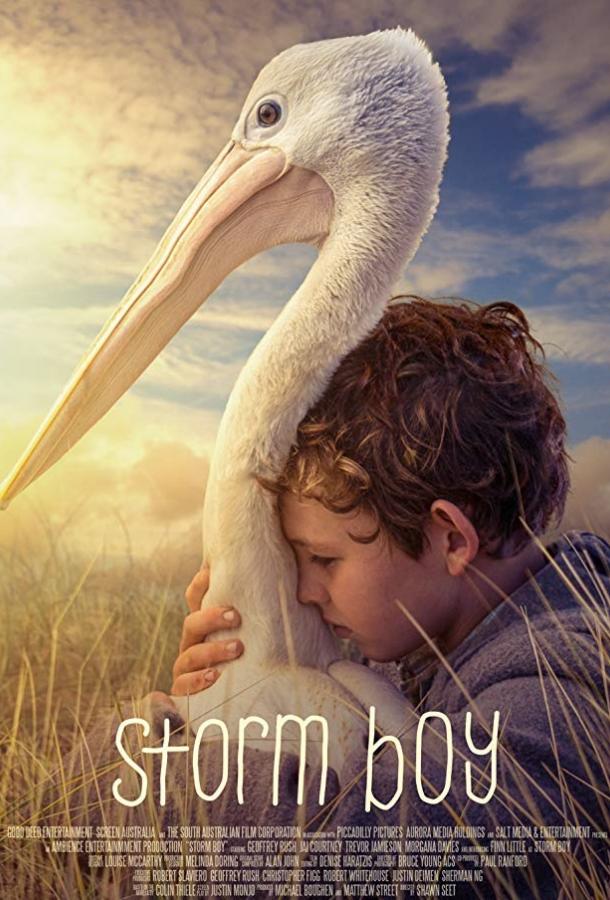 Постер к Штормовой мальчик (2019)