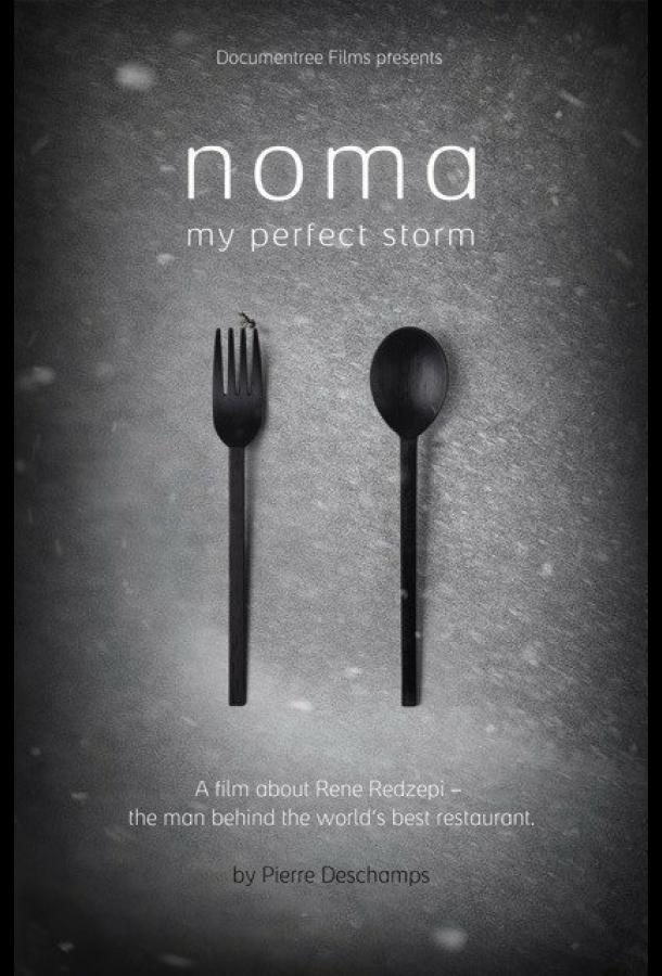 Постер к «Нома» – мой идеальный шторм (2015)