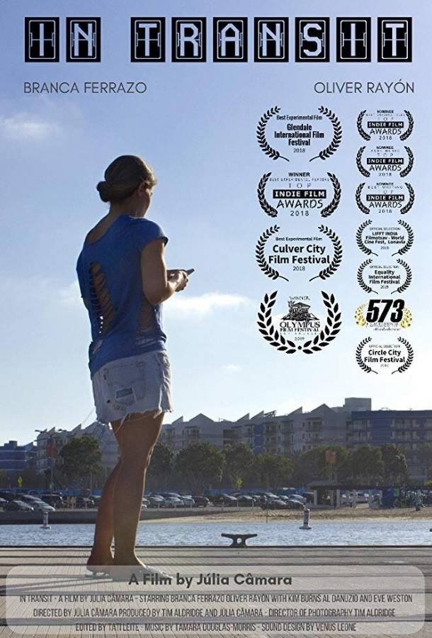 Постер к В поисках (2018)
