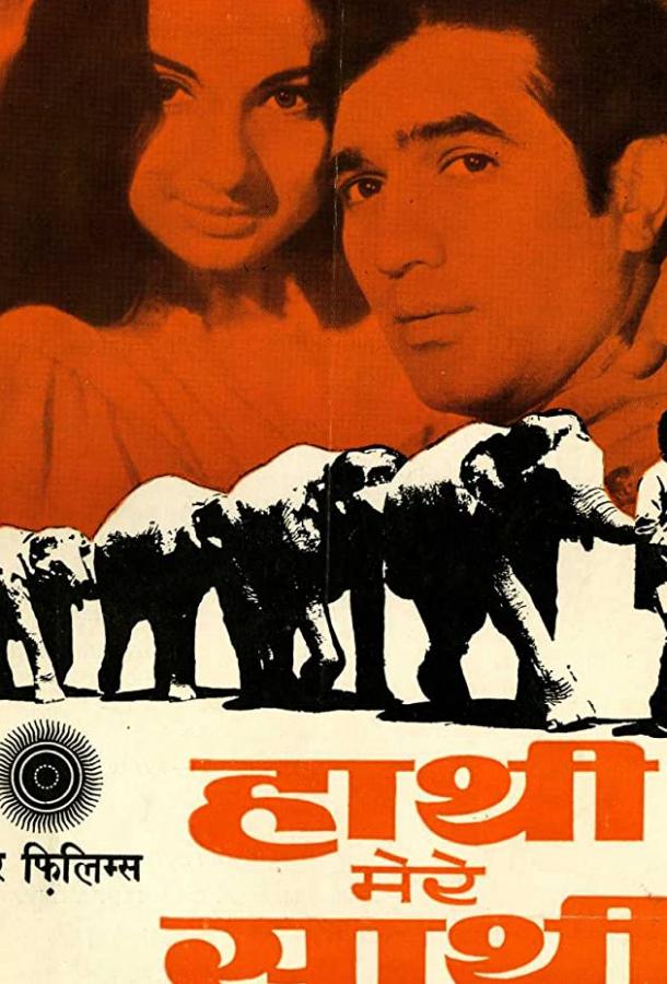 Постер к Слоны — мои друзья (1971)