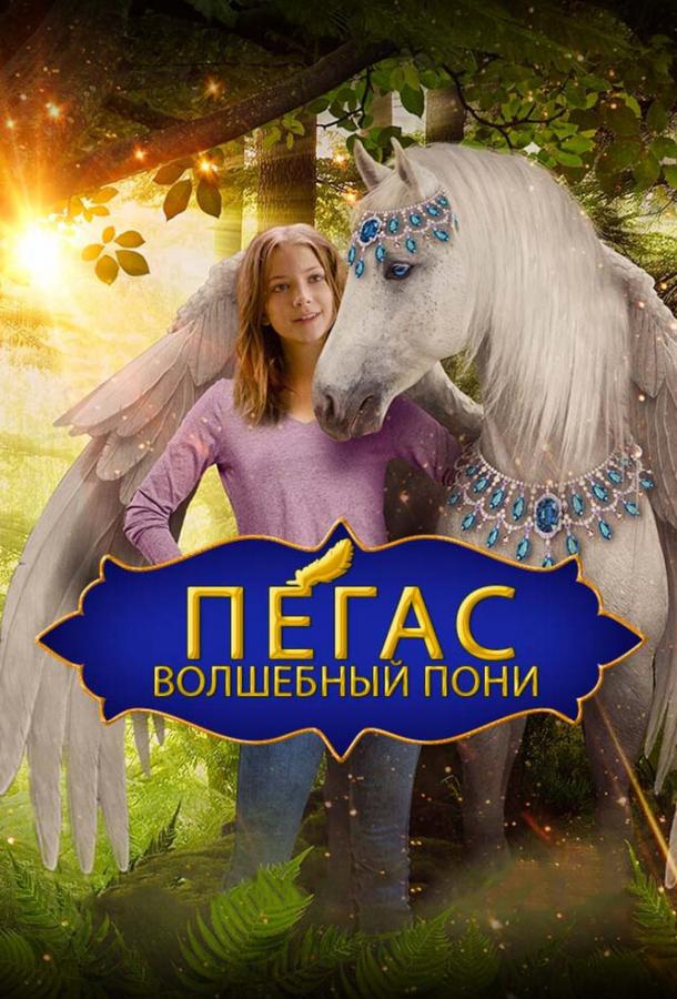 Постер к Пегас: Волшебный пони (2019)